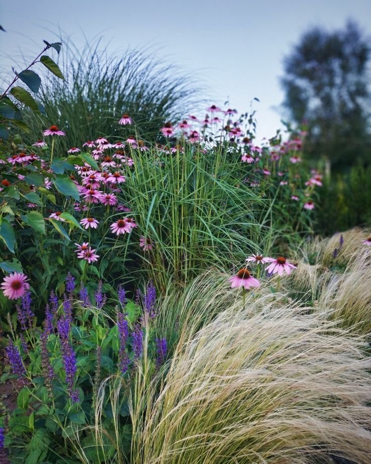 biocorredores_naturales