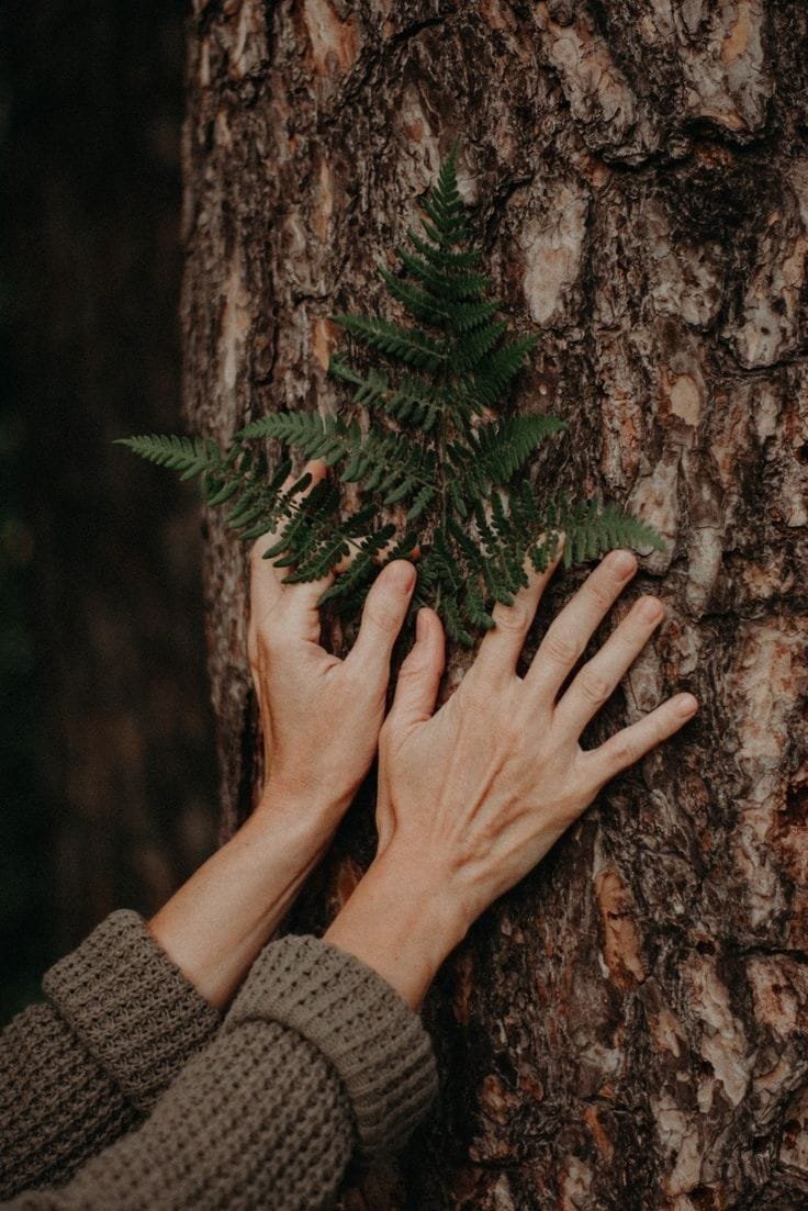 evaluación_del_impacto_ambiental