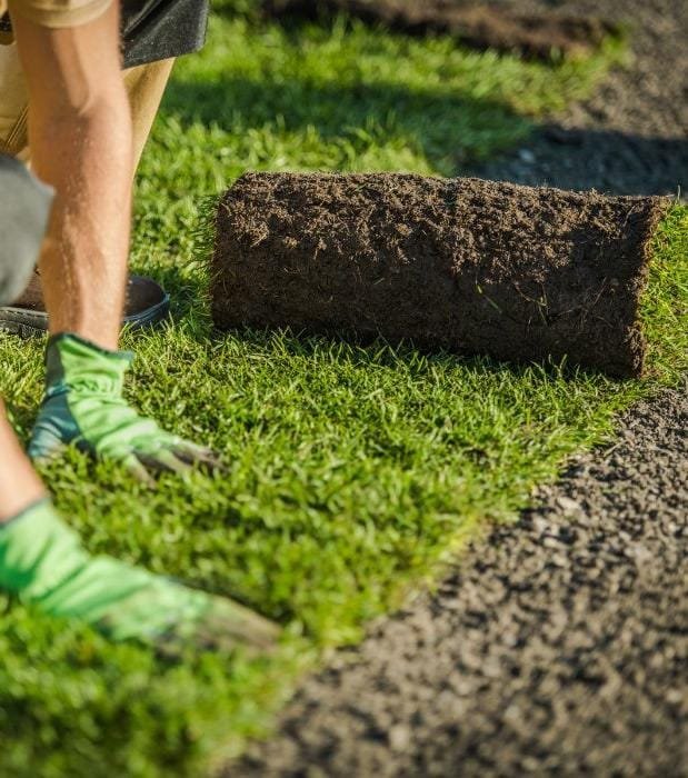 nivelación_colocación_de_césped