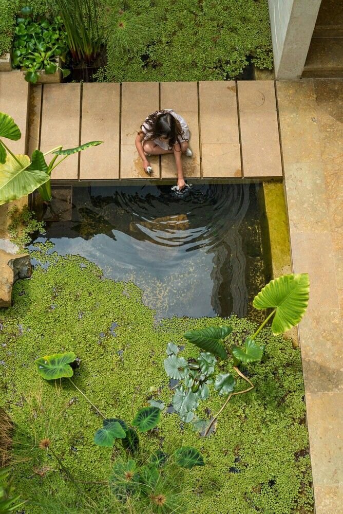 espejos_de_agua