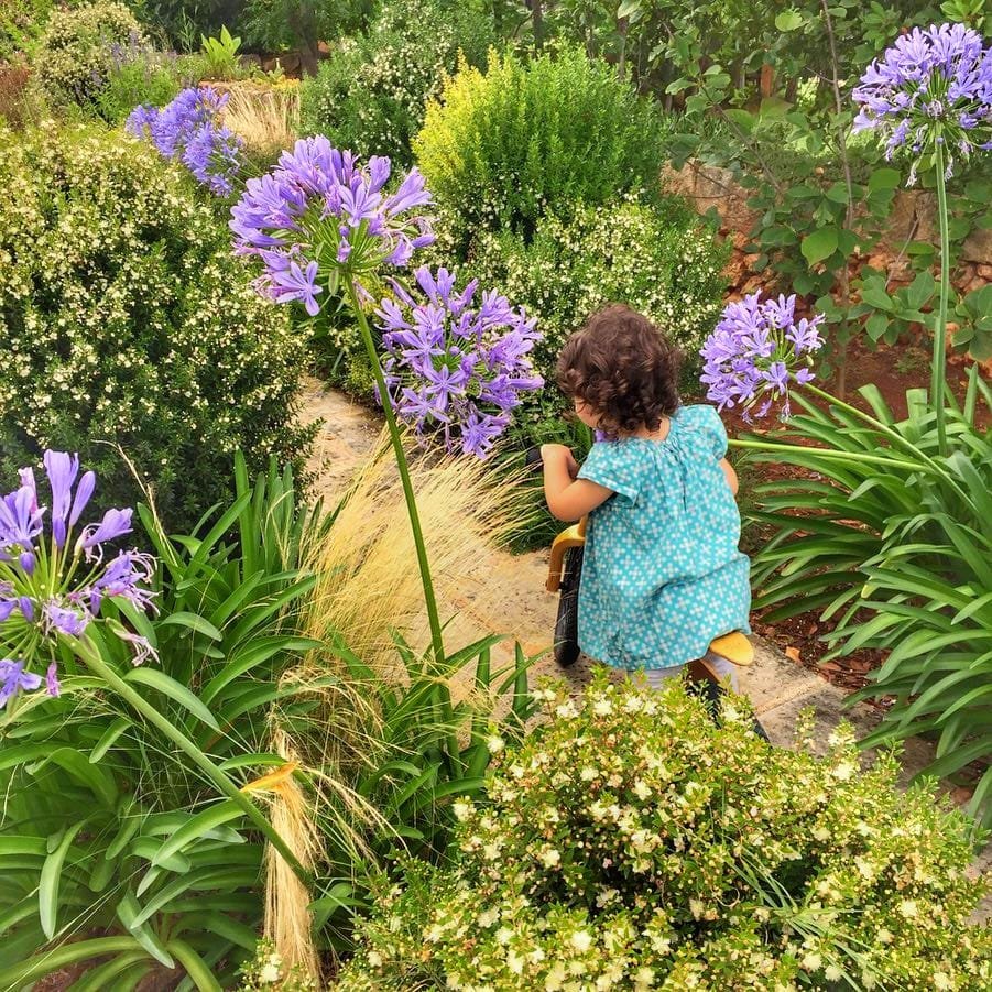 Niña de vestido azul jugando en un jardín